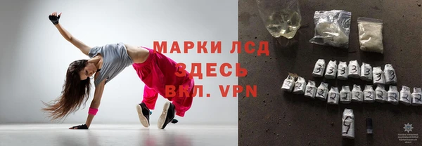 хмурый Новозыбков