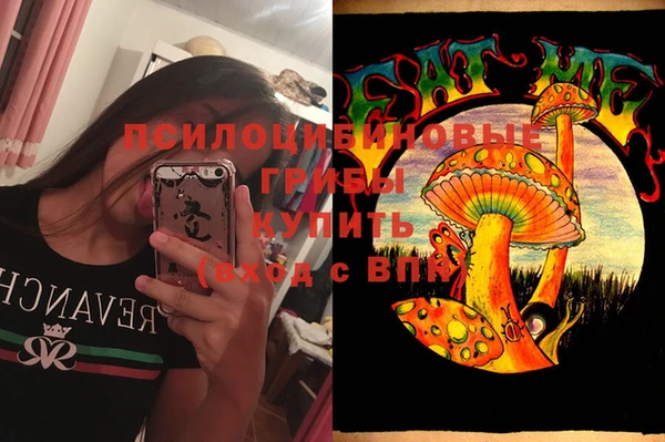 Альфа ПВП Нефтекумск