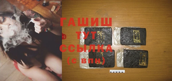 хмурый Новозыбков