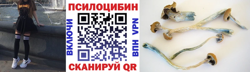 Галлюциногенные грибы Magic Shrooms  Купить закладки  Каменск-Уральский 